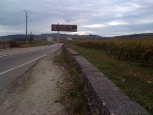 Die Straße der großen Weine